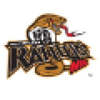 Rochester Rattlers logo, Rochester Rattlers contact details