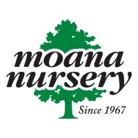 Moana Nursery logo, Moana Nursery contact details