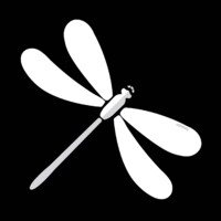 dragonfly logo, dragonfly contact details