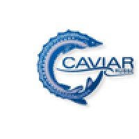 Caviar Russe logo, Caviar Russe contact details