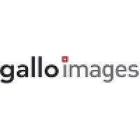 Gallo Images logo, Gallo Images contact details