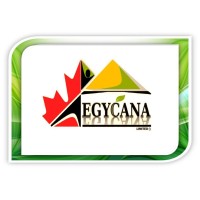 egycanaltd logo, egycanaltd contact details