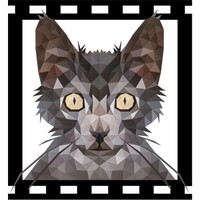 Feralflix logo, Feralflix contact details