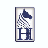 BLUE HORSE AUTO logo, BLUE HORSE AUTO contact details