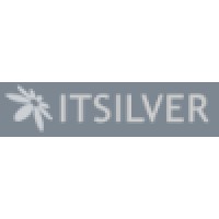 ITsilver logo, ITsilver contact details