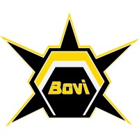 BOVI Consultancy Services logo, BOVI Consultancy Services contact details