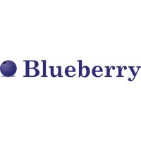 Blueberry Bookkeeping logo, Blueberry Bookkeeping contact details