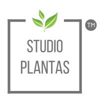 STUDIO PLANTAS logo, STUDIO PLANTAS contact details