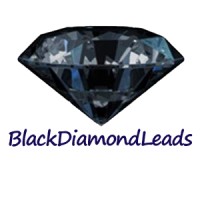 Black Diamond Leads logo, Black Diamond Leads contact details