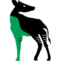 Okapi AI logo, Okapi AI contact details