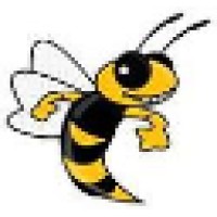 Swarm Pest Control logo, Swarm Pest Control contact details