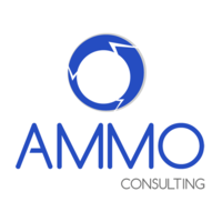 AMMO Consulting SARL logo, AMMO Consulting SARL contact details