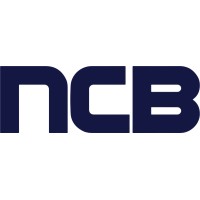 NCB Sistemas Embarcados logo, NCB Sistemas Embarcados contact details