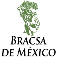 Bracsa de México S.A de C.V logo, Bracsa de México S.A de C.V contact details