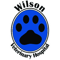 Wilson Veterinary Hospital logo, Wilson Veterinary Hospital contact details