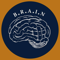 B.R.A.I.N. Programs Inc. logo, B.R.A.I.N. Programs Inc. contact details