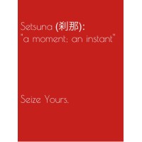 Setsuna Executive Coaching & Talent Solutions logo, Setsuna Executive Coaching & Talent Solutions contact details