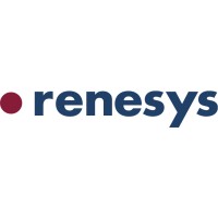 Renesys Corporation logo, Renesys Corporation contact details