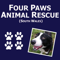 Four Paws Animal Rescue South Wales logo, Four Paws Animal Rescue South Wales contact details