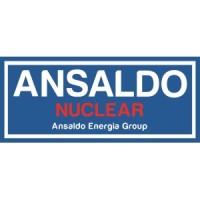 Ansaldo NES logo, Ansaldo NES contact details