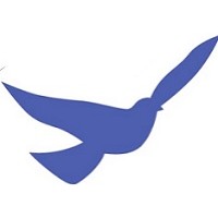 WINGS Foundation logo, WINGS Foundation contact details