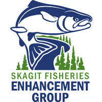 Skagit Fisheries Enhancement Group logo, Skagit Fisheries Enhancement Group contact details