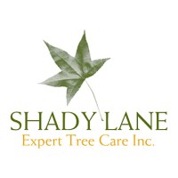 Shady Lane Expert Tree Care logo, Shady Lane Expert Tree Care contact details