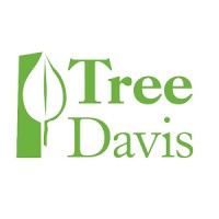 Tree Davis logo, Tree Davis contact details