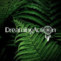 DreamingAction Consultores S.A.S logo, DreamingAction Consultores S.A.S contact details