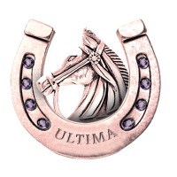 Ultima Racing Group logo, Ultima Racing Group contact details