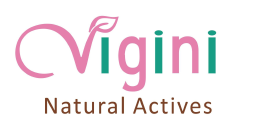 Vigini India logo, Vigini India contact details