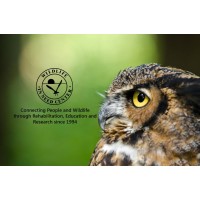 WILDLIFE IN NEED CENTER LTD logo, WILDLIFE IN NEED CENTER LTD contact details