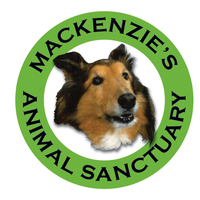 Mackenzie's Animal Sanctuary logo, Mackenzie's Animal Sanctuary contact details