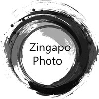 Zingapo Photo logo, Zingapo Photo contact details