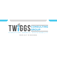 Twiggs Research and Consulting Group, LLC logo, Twiggs Research and Consulting Group, LLC contact details