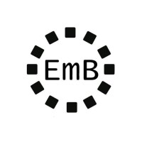 Embright Infotech Pvt Ltd logo, Embright Infotech Pvt Ltd contact details