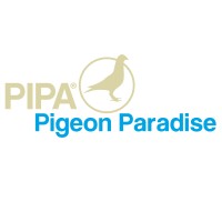 Pigeon Paradise logo, Pigeon Paradise contact details