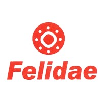 Felidae Infosec Pvt Ltd logo, Felidae Infosec Pvt Ltd contact details