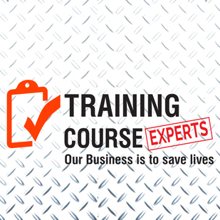 Training Course Experts (RTO 52355) logo, Training Course Experts (RTO 52355) contact details