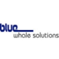 BlueWhale Solutions Inc. logo, BlueWhale Solutions Inc. contact details