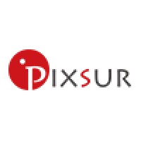 Pixsur Iris Recognition logo, Pixsur Iris Recognition contact details