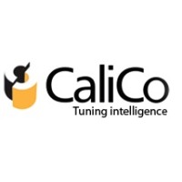 Calico Infosystems Pvt Ltd logo, Calico Infosystems Pvt Ltd contact details