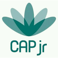 CAP jr Consultoria logo, CAP jr Consultoria contact details