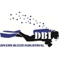 Divers Buceo Industrial logo, Divers Buceo Industrial contact details