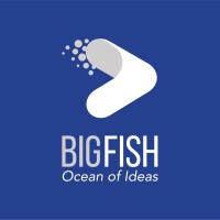 BigFish - Ocean of Ideas logo, BigFish - Ocean of Ideas contact details