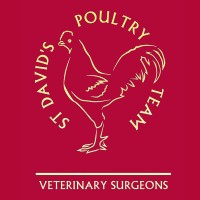 St David's Poultry Team logo, St David's Poultry Team contact details