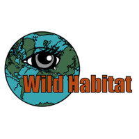 Wild Habitat logo, Wild Habitat contact details