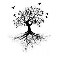 Roots & Wings Research, LLC logo, Roots & Wings Research, LLC contact details