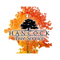 Hancock Tree Service logo, Hancock Tree Service contact details