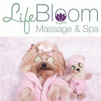 LifeBloom Massage & Spa logo, LifeBloom Massage & Spa contact details